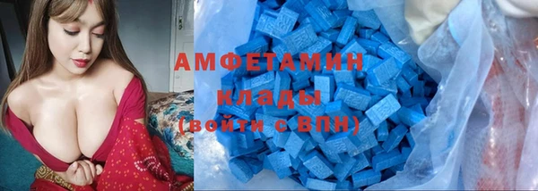 дмт Дмитров