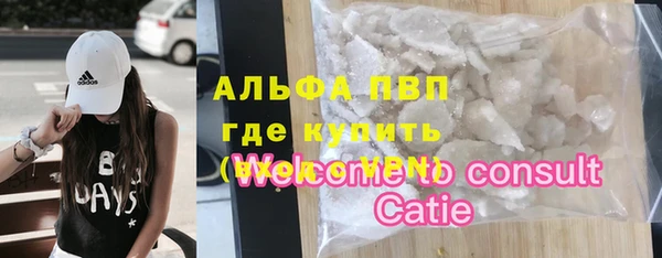 дмт Дмитров
