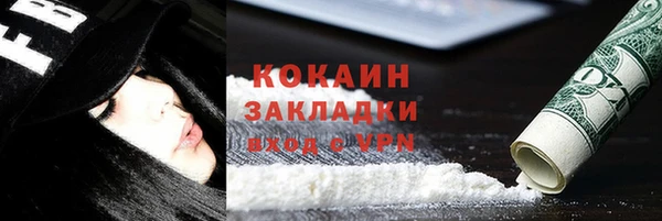 apvp Дмитриев