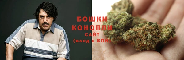apvp Дмитриев
