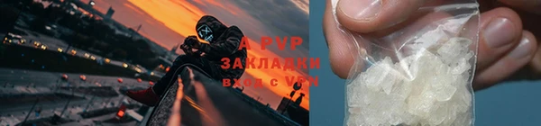 дмт Дмитров
