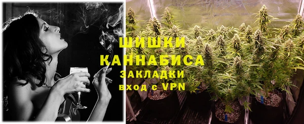 дмт Дмитров