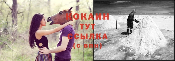 дмт Дмитров