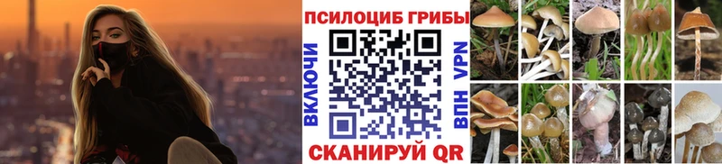 Купить  Кирсанов  Галлюциногенные грибы GOLDEN TEACHER 